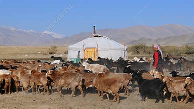 Traditional Life in Mongolia