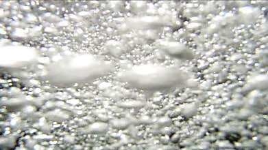 Exploring an alpine stream