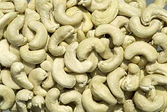Cashew nut kernels-dry fruit