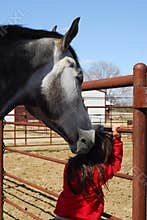 Horse nudging little girl