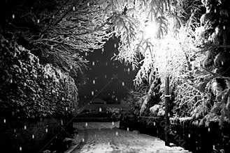 Winter Street