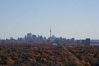 Toronto Skyline in the Fall