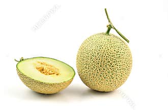 Cantaloupe melon