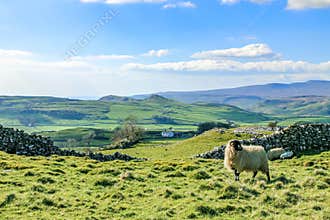 Beautiful yorkshire dales landscape stunning scenery england tourism uk green rolling hills europe