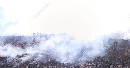Stubble Burning in India, Parali Fire in Agricultural Field Causing Air Pollution and Smoke