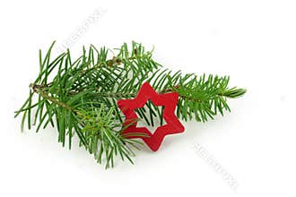 Fir branch with small red christmas star, isolated on white back