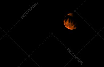Red Moon in shadow of trees
