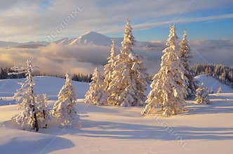 Christmas landscape in the mountains