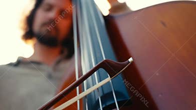Low angle view of bowed double bass strings with diagonal bow stroke, rich wood grain, glossy varnish, fingerboard