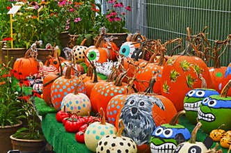 Painted Pumpkins at Farmers Market