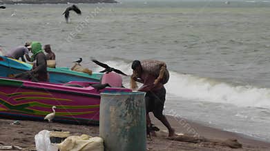 A Sri Lankan fisherman carries a heavy bag of fish out of the water, editorial video