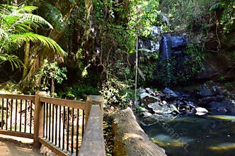 Mount Tamborine Gold Coast Queensland Australia