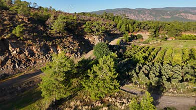 Aerial view of forest landscape in the rural landscape in Mugla, Turkiye