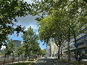 Tree lined city street beside modern office buildings, tram tracks, moving