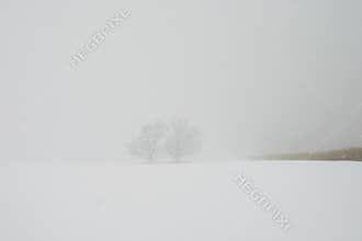 Winter Blizzard Whiteout