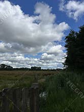 Dramatic cloudscape above grassy wetland meadow with wooden fence, distant
