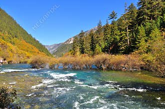 A creek on a valley at Jiuzhaigou