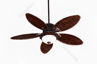 Ceiling Fan