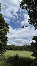 Group of horses gathered in sandy paddock beneath cloudy sky, with airplane
