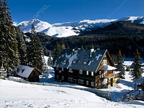 Padina chalet in Carpathian