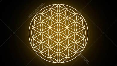The Flower of Life Forming Sacred Geometry Symbol