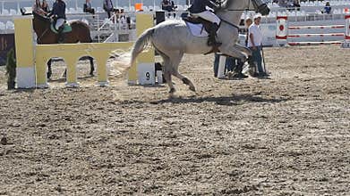 Horse runs and jumps through a barrier at sport competition. Close up of horse feet galloping. Professional jockey rides