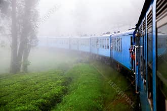 The train in the fog in the mountains of Sri Lanka. Surroundings Nuwara Eliya.