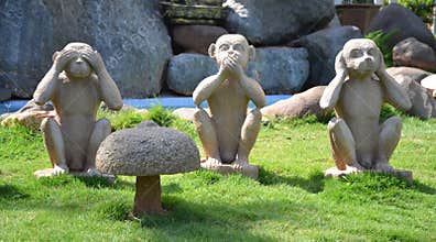 Three monkeys
