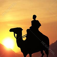 Man on Camel