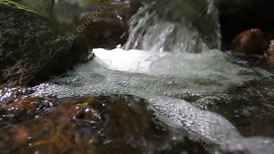 Clean river in ancient forest, Romania. Detail 2