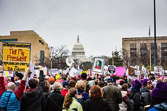 Not My President - Womens March - Washington DC
