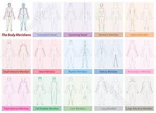 Body Meridians Chart Woman Colors