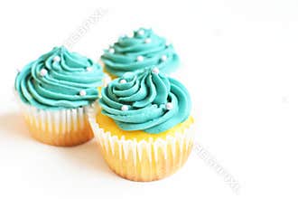 Teal Cupcakes Isolated