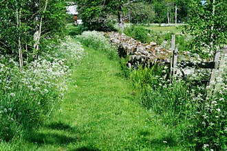 Summer path