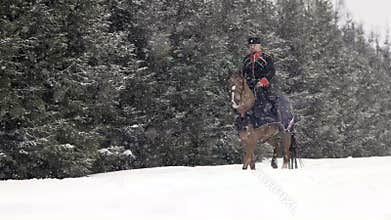 Men horseback riding a big brown horse in beautiful snowy winter landscape. Male rider cantering with large elegant