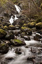 Waterfall and Stream Flow Over Boulders Through Coastal Rainforest