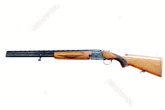 Shotgun