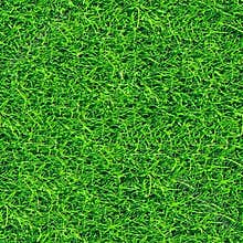 Grass seamless pattern (2 of 2).