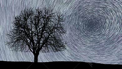 Polaris North Star at center as earth rotates on axis. Beautiful star trails time-lapse stunning cosmos.