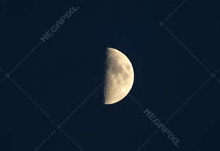 Half moon in a dark sky with details of craters