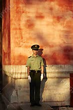 Safeguard on stand sentry duty