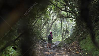 Young girl in jungle