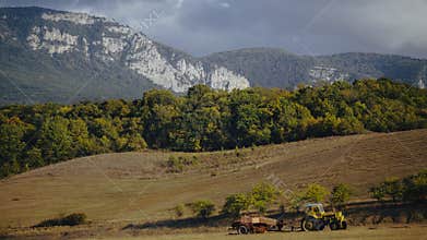 Yellow train on fields near forrest with mountains on background