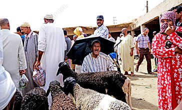 A seller of sheep protects from the sun with an umbrella in the souk of the city of Rissani in Morocco