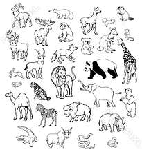 Vector Animals