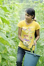 Working at the farm land.