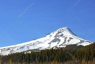 Mt. Hood