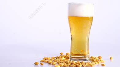 Beer is pouring into glass on white background with Pickled peanuts