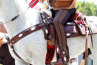 Parade Horse and Rider