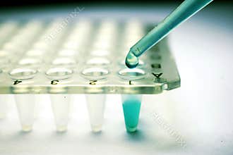 Stem Cell Research Pipette